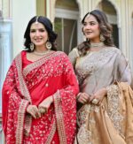 Grace draped soft Light pink saree - Image 3